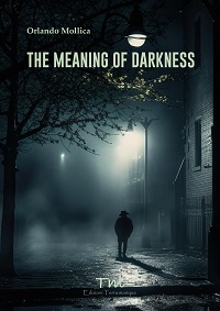 Copertina The Meaning of Darkness